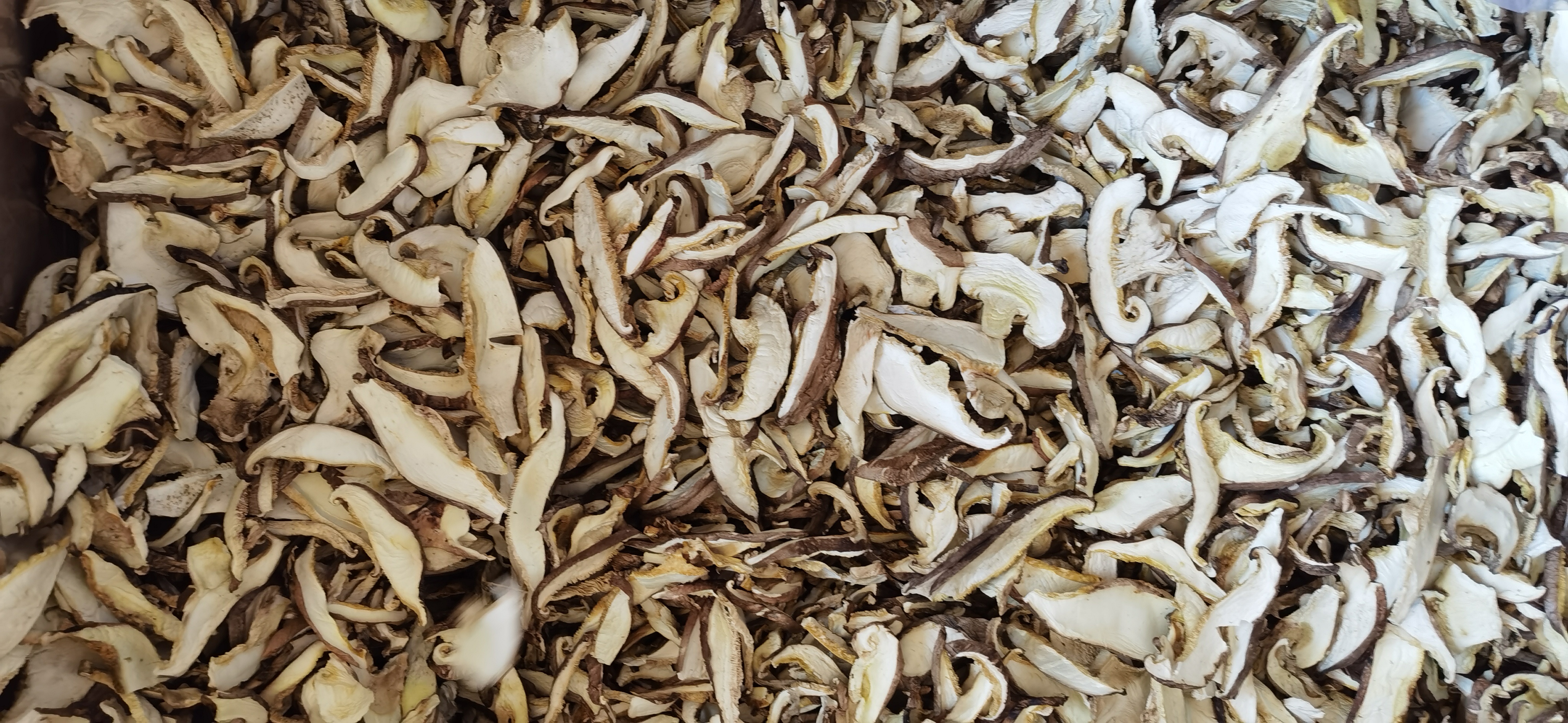 dried shiitake mushrooms.jpg